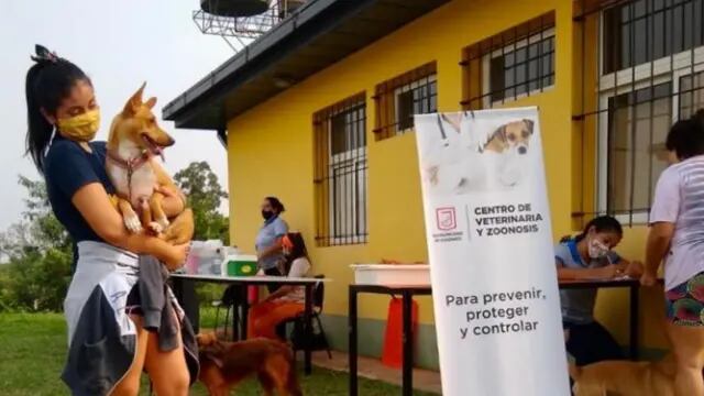 El Centro de Veterinaria y Zoonosis de Eldorado dio a conocer su cronograma semanal de actividades