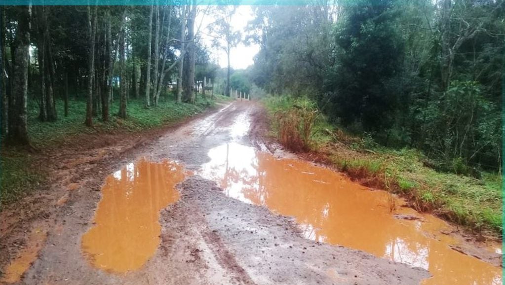 Puerto Iguazú: La Asociación Civil 2000 hectáreas solicitó arregló de calles en la zona