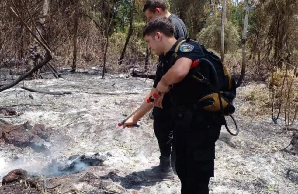 Extinguieron un incendio forestal en Comandante Andresito mediante un avión hidrante.