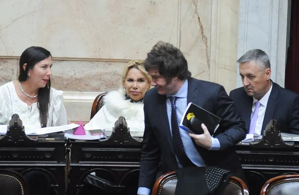 Javier Milei deberá conseguir los votos para aprobar el primer Presupuesto de su gestión. Foto: Federico López Claro