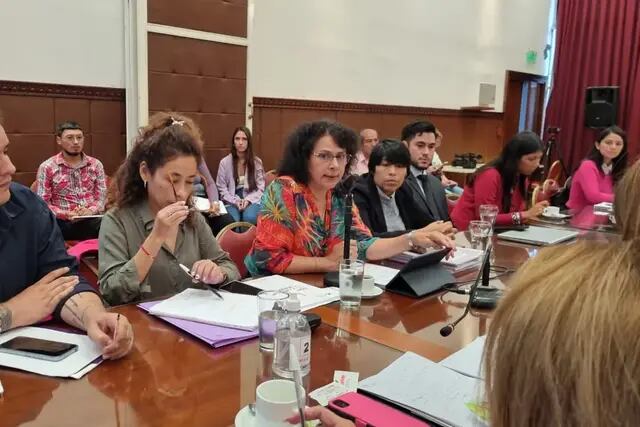 Legislatura de Jujuy - Consejo Provincial de Mujeres