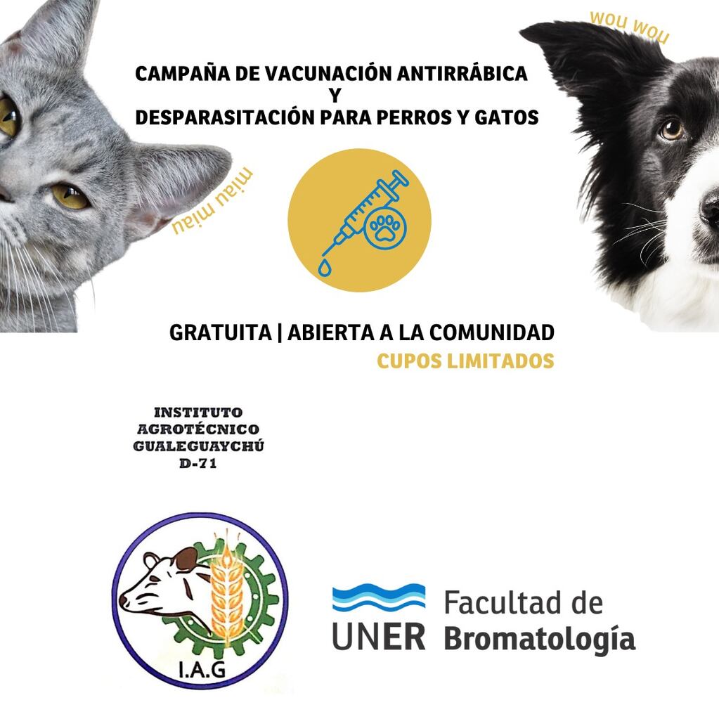Campaña de desparasitación para perros y gatos