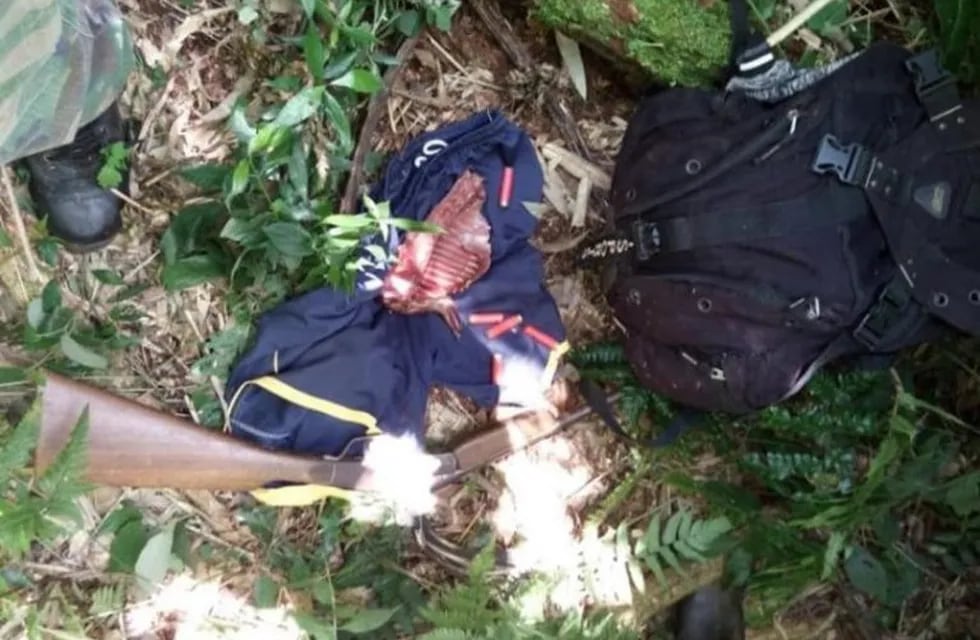 Caza furtiva: guardaparques detuvieron a un cazador dentro del Parque Iguazú