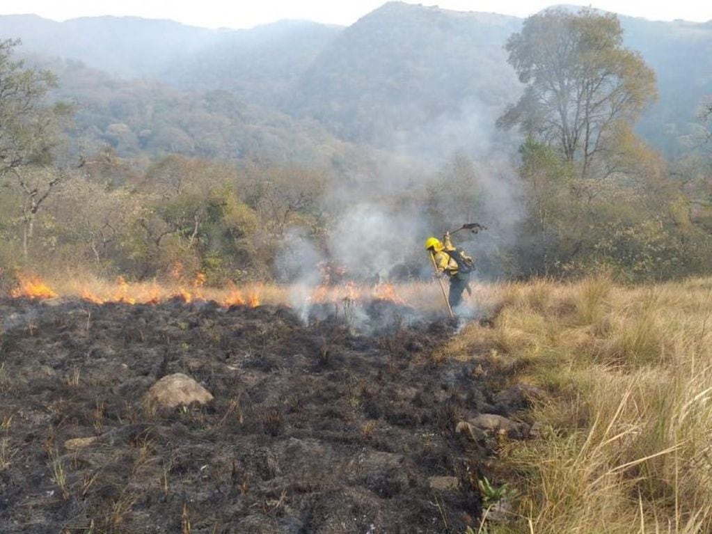 El pasado 28 de agosto se inició un incendio en el cerro Zapla, departamento Palpalá, que afectó 104 hectáreas.