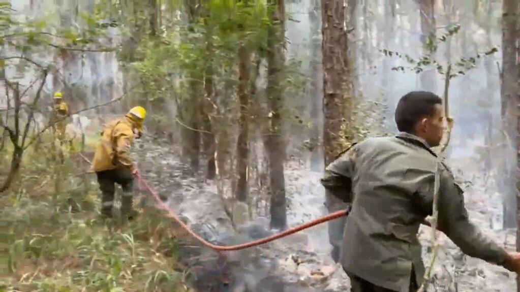 Bomberos luchan por apagar un incendio forestal en Mártires.