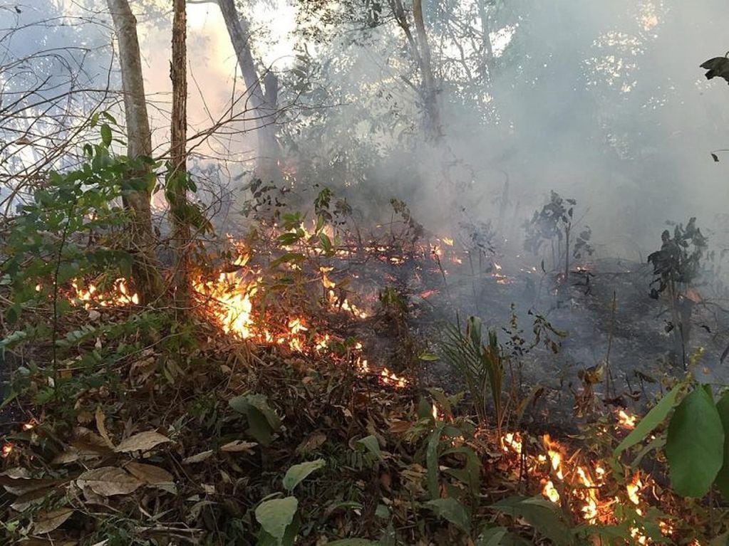 Uno de los grandes incendios que azotan la amazonía brasileña. (Foto: Bomberos de Porto Velho/EFE)