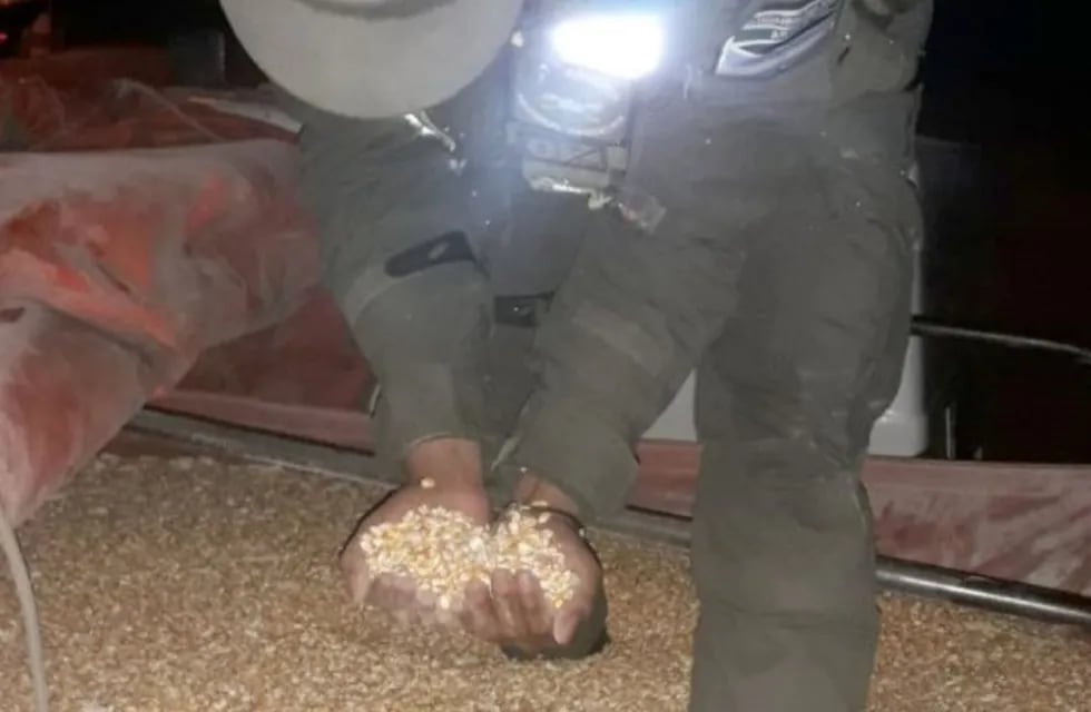 Efectivos de Gendarmería Nacional incautaron dos camiones cargados con maíz en el ingreso a Mendoza, con documentación ilegal.
