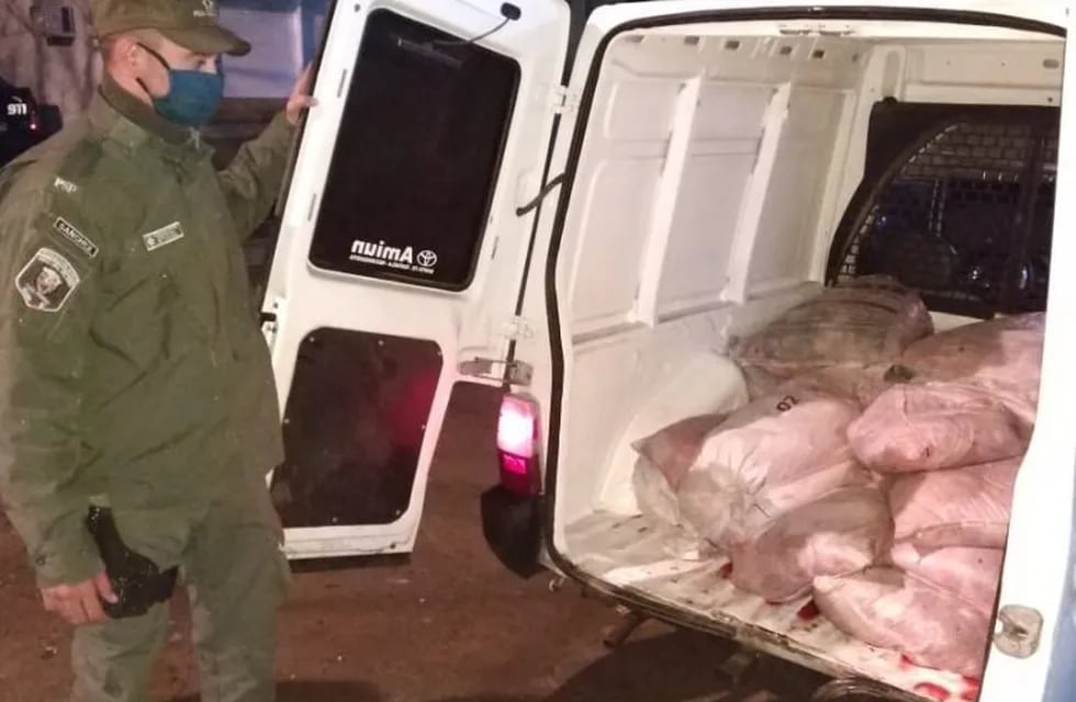 Detuvieron a una camioneta con carne en mal estado en Felicia