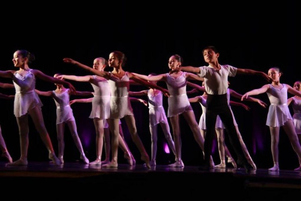 Escuela Oficial de Ballet de la Provincia (web)