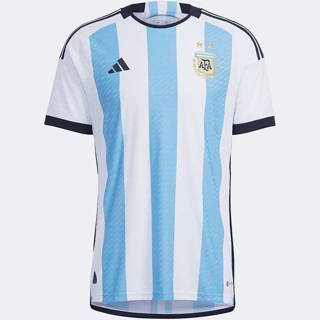 La Camiseta titular de la Selección Argentina.