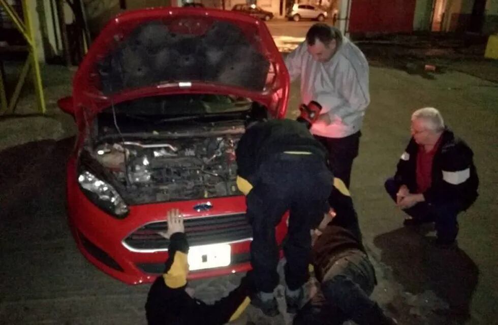 Bomberos Zapadores debieron desarmar el auto para rescatar al gato.