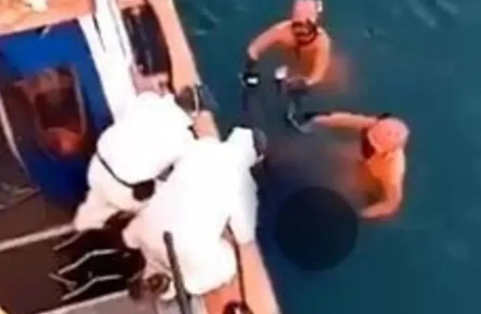 Apareció flotando el cuerpo de un marinero en el Puerto de Mar del Plata (Captura de video de Twitter @rogarrone)