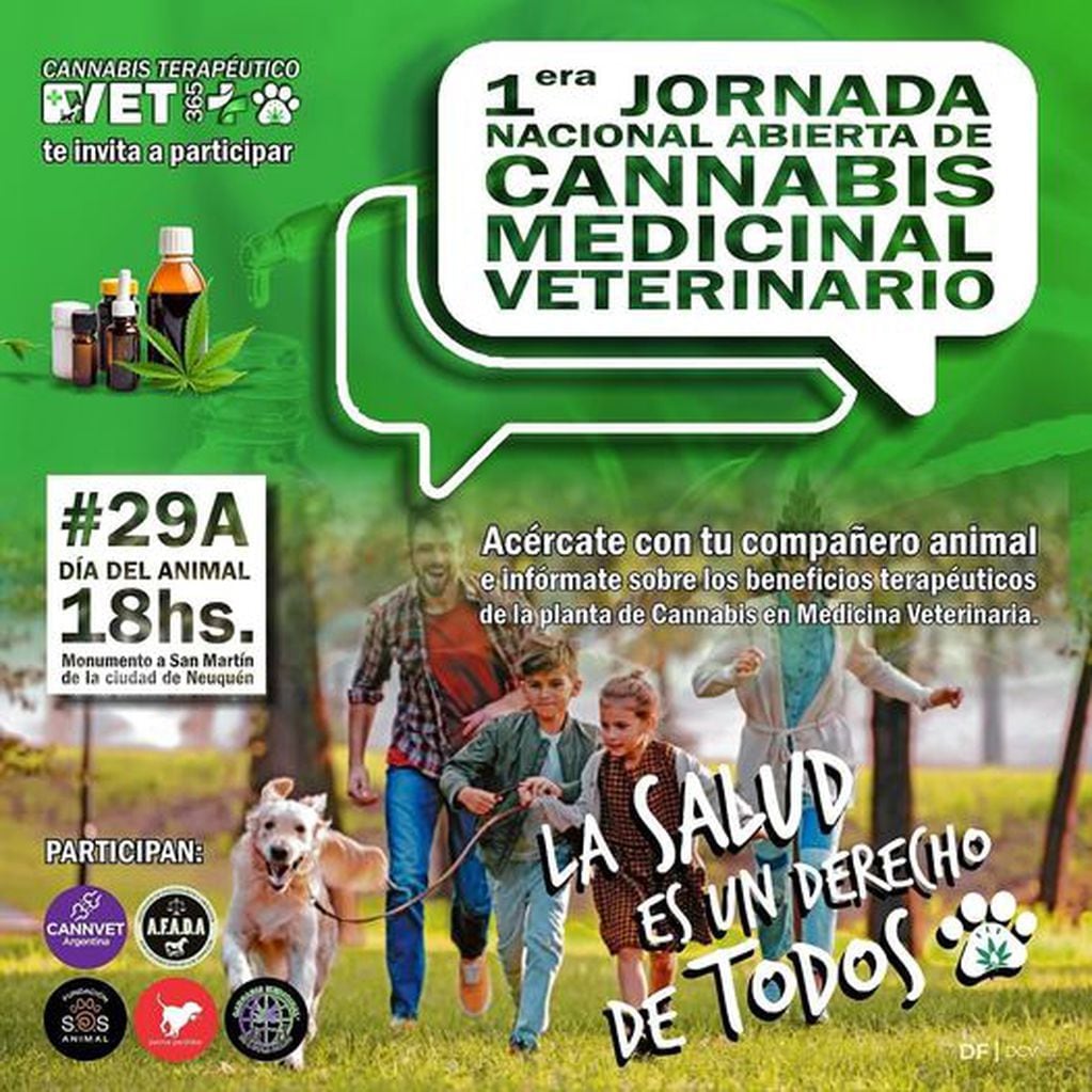 Veterinarios de Neuquén piden la regulación del uso de cannabis en animales