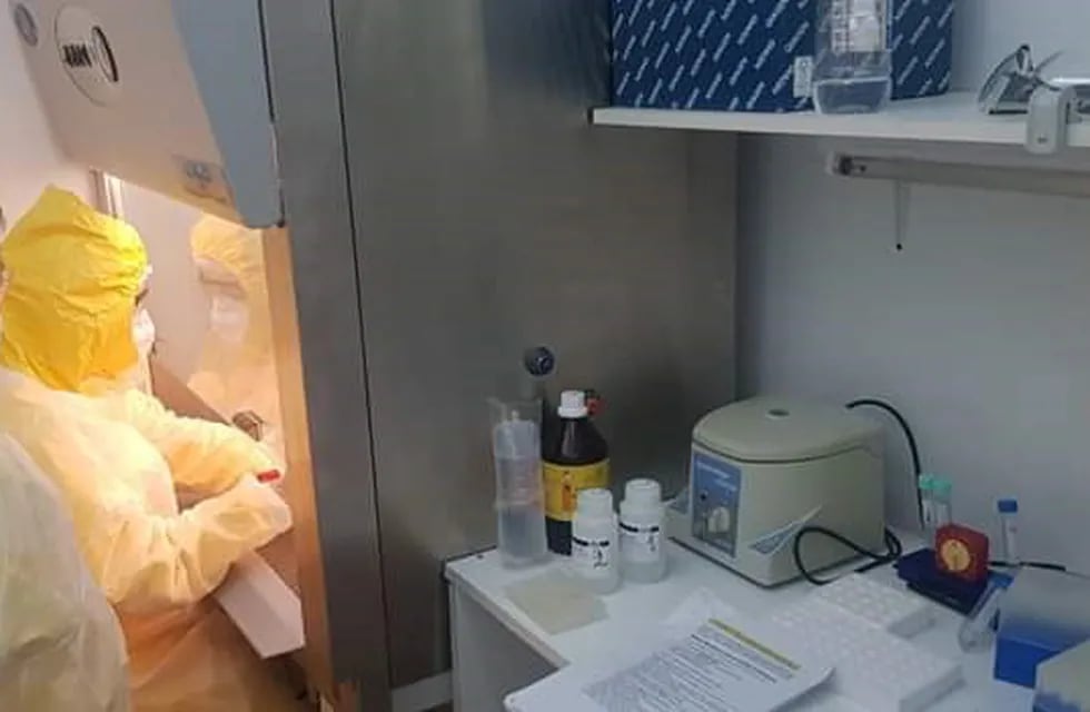 El equipo de Biología Molecular diariamente realiza análisis de muestras para confirmar o descartar el diagnóstico de coronavirus.