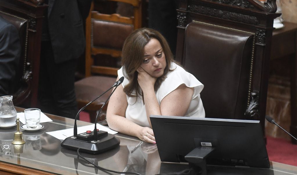 La presidenta de la Cámara de Diputados, Cecilia Moreau (Foto: Federico López Claro)