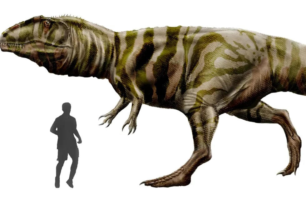 El Giganotosaurus carolinii, dinosaurio "argentino", tiene su réplica de chocolate en Neuquén.