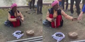 Desopilante video de Facundo Zárate tocando una serpiente en India