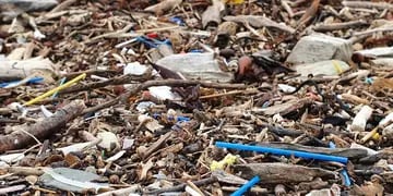 Contaminación plástica en las costas del Canal Beagle - Ushuaia.