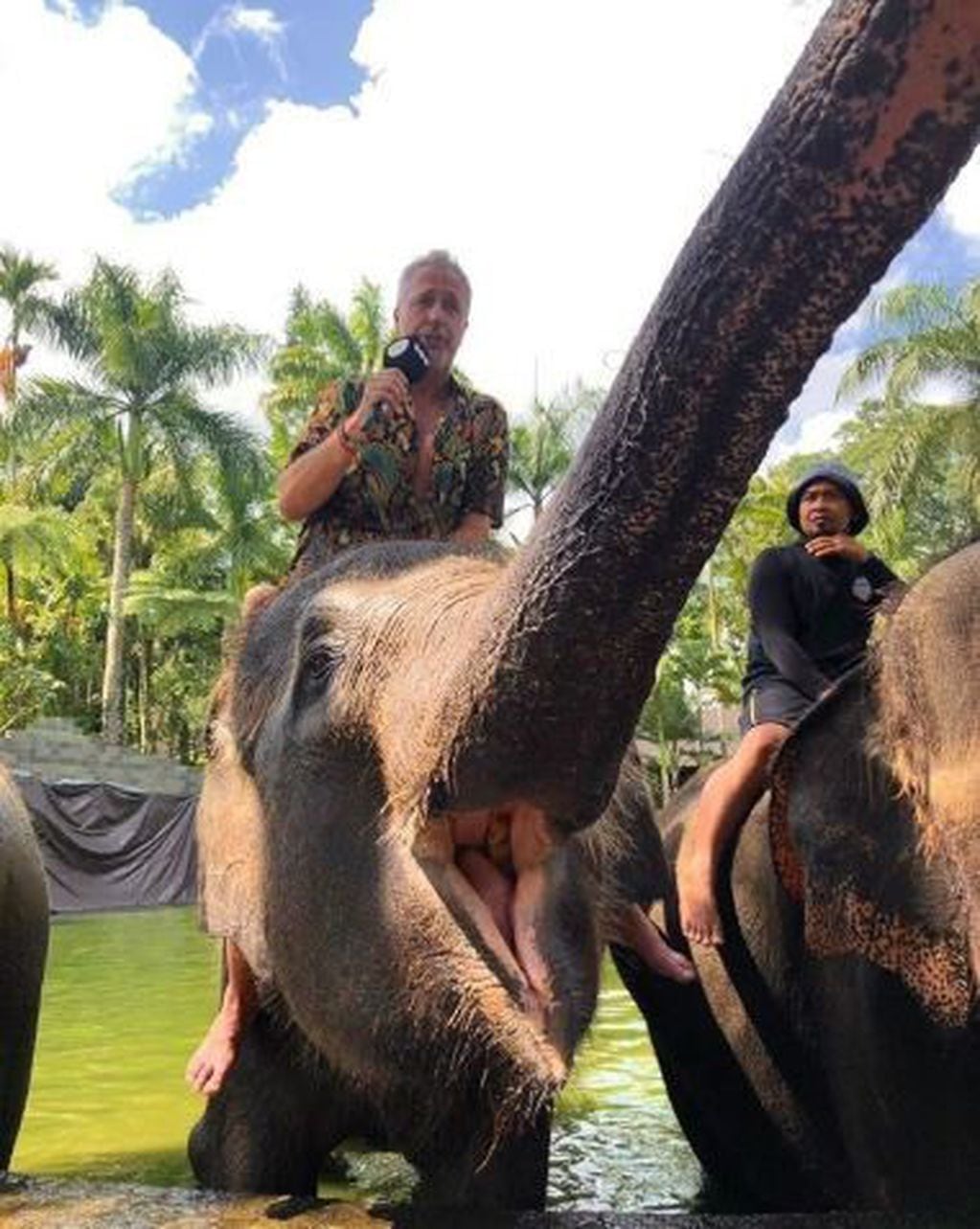 Jimena Barón y Marley visitaron un ecoparque de elefantes en "Por el Mundo" (Instagram/ marley_ok)