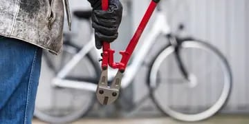 Robo de Bicicletas