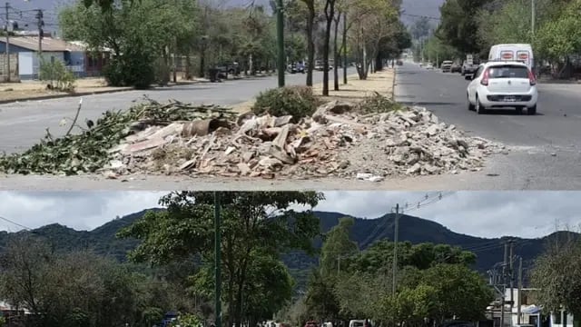 Vecinos de un barrio salteño plantaron árboles para erradicar un basural