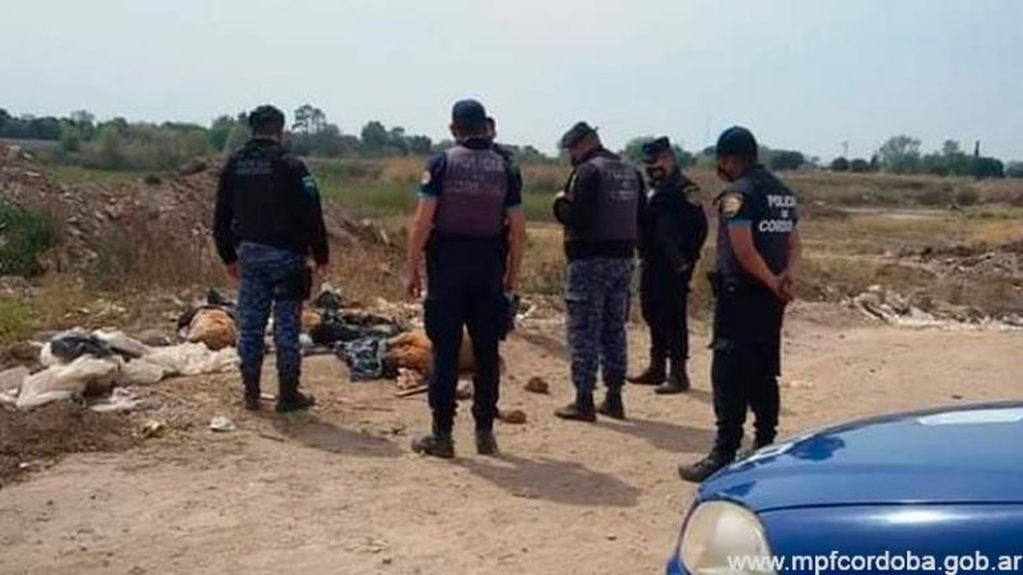 Animales muertos en un descampado en Córdoba