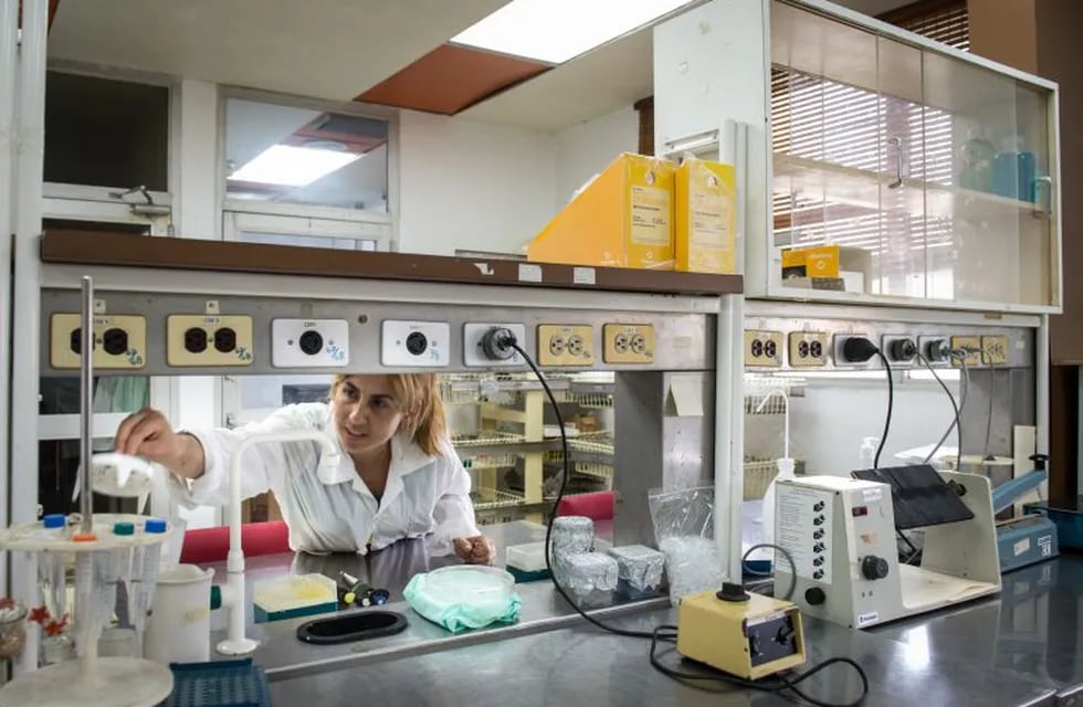 La especialidad en Biotecnología estará presente en las escuelas secundarias de Córdoba.