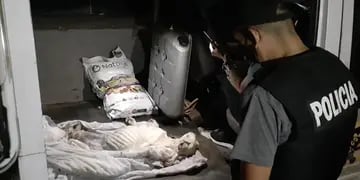 Perro rescatado en Bahía