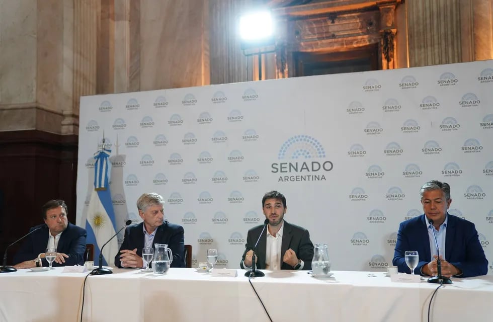 Los senadores patagónicos que responden a los gobernadores rechazaron el DNU casi en unanimidad. (Clarín)
