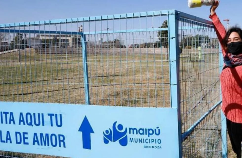 La Municipalidad de Maipú brindará conocimientos a jóvenes del departamento que quieran formarse en el cuidado del Medio Ambiente. Gentileza