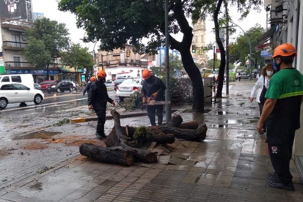 Los daños que dejó la tormenta en Rosario. (Municipalidad de Rosario)