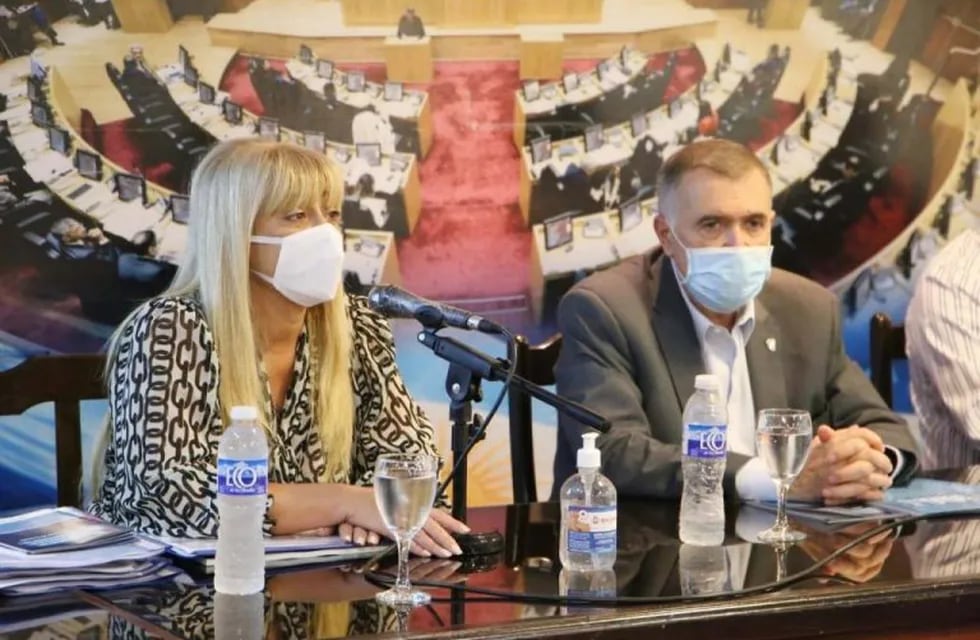 Coronavirus: Rossana Chahla presentó un informe de Salud ante los legisladores. (SECP)