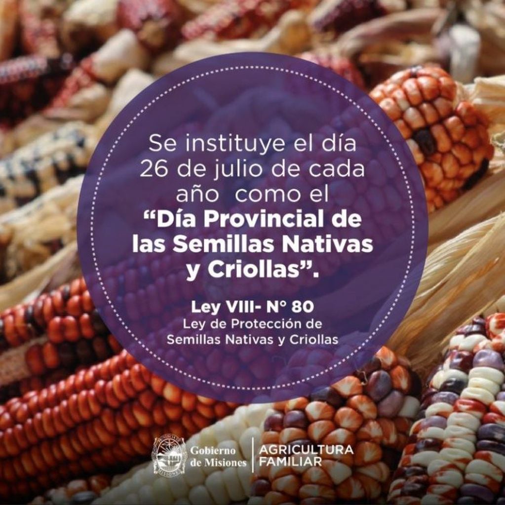 Día Provincial de las Semillas Nativas y Criollas fijado por ley en Misiones.