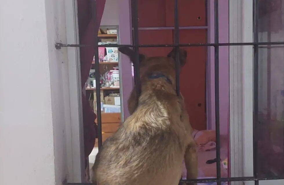 La can quedó encajada en una vivienda de barrio San Martín.