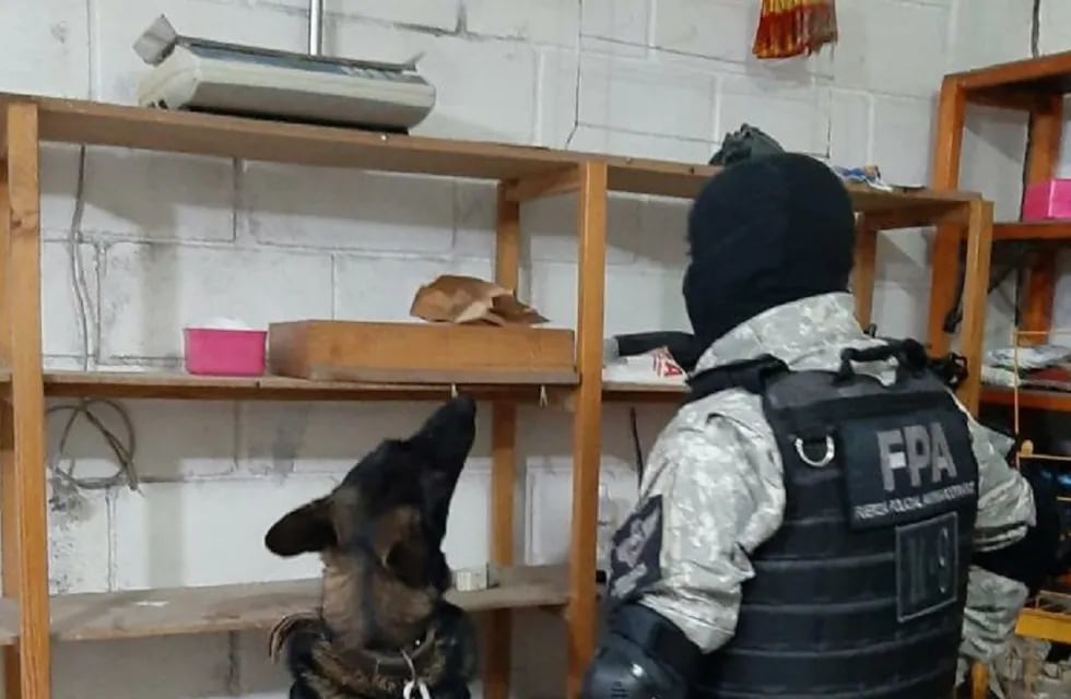 El perro Anuk delató dónde escondían la droga en Alta Gracia.