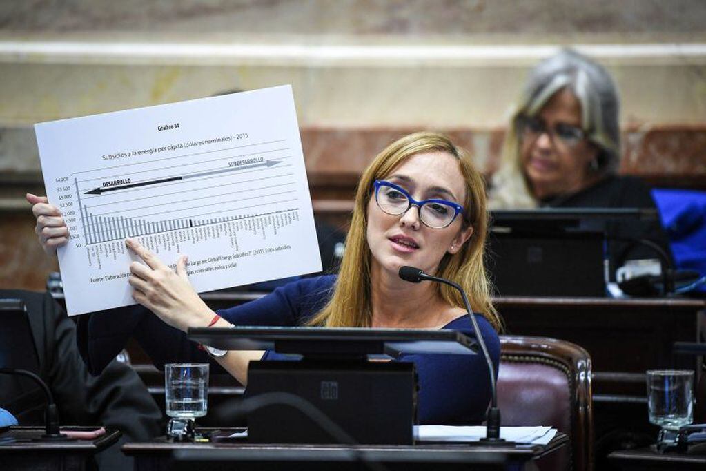 La senadora Fernández Sagasti acusó a Macri de favorecer a sus amigos.