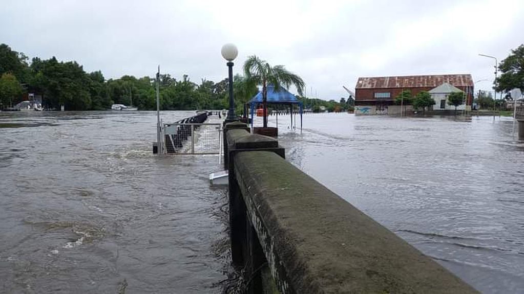 Gualeguaychú: alertan sobre enfermedades que trae la inundación
