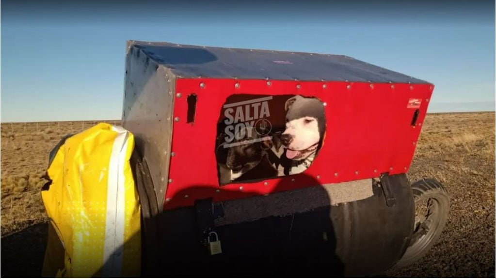 Con ayuda de sus familiares y amigos montó un carro móvil para el traslado de sus mascotas.