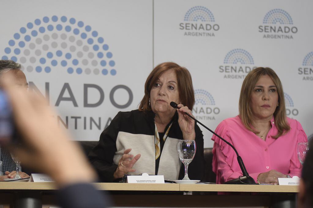 Alejandra Vigo en el Senado