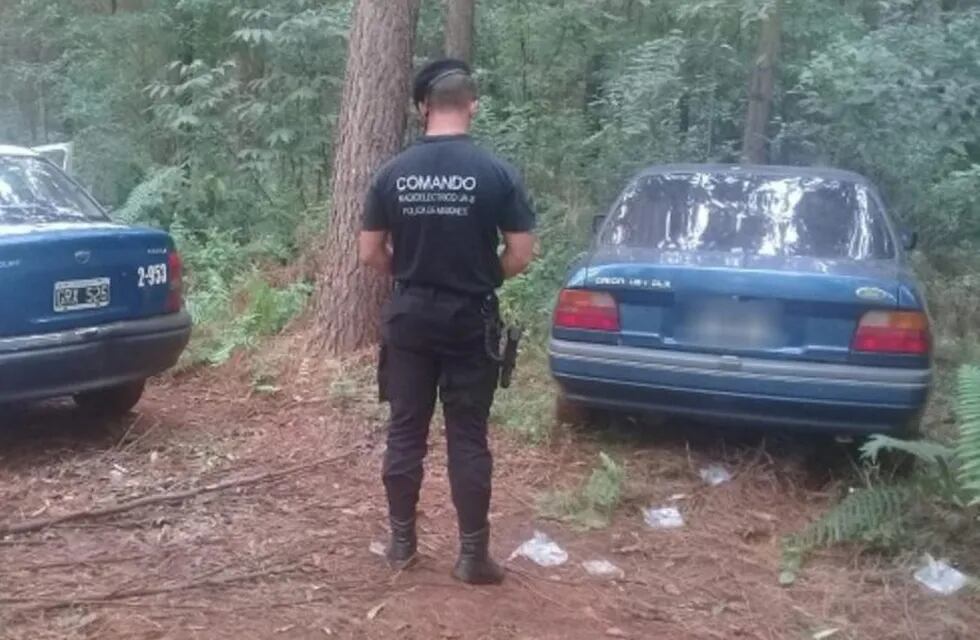 La Policía encontró un auto robado escondido en un pinar