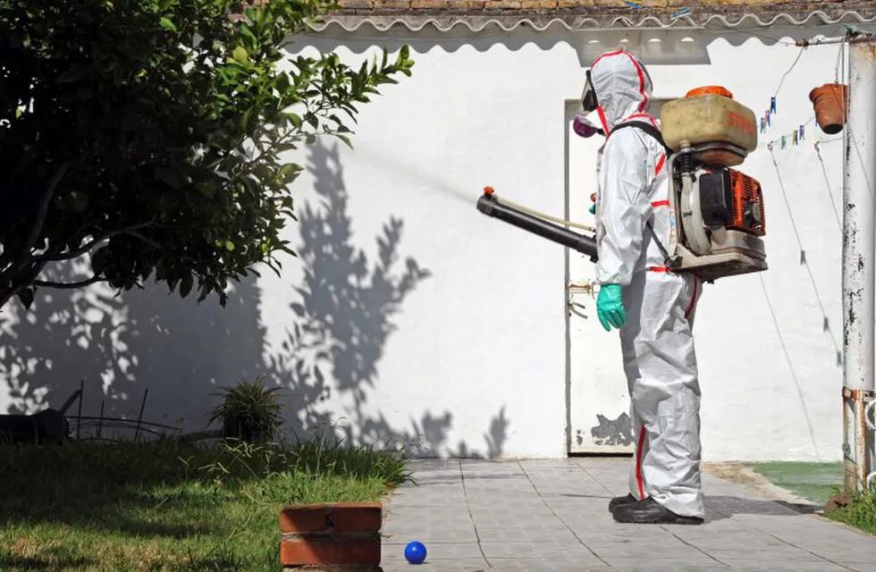 Pese a la llegada del frío mantienen la advertencia sobre el alto número de contagiados de dengue en Santa Fe. (Archivo EFE)