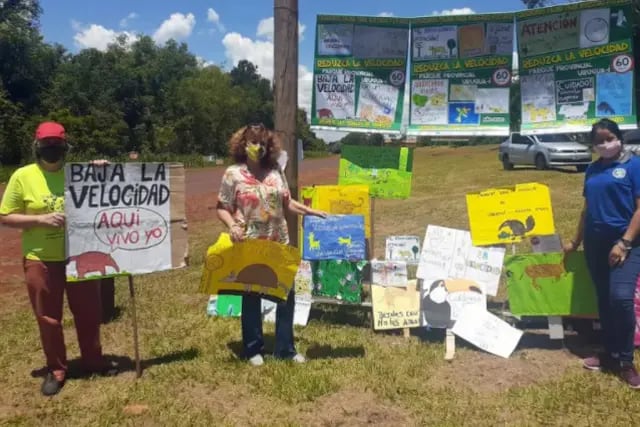 Docentes y alumnos de Wanda se manifestaron contra el atropellamiento de animales silvestres