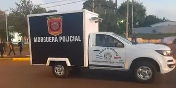 Montecarlo: un joven falleció electrocutado aparentemente mientras intentaba robar bananas