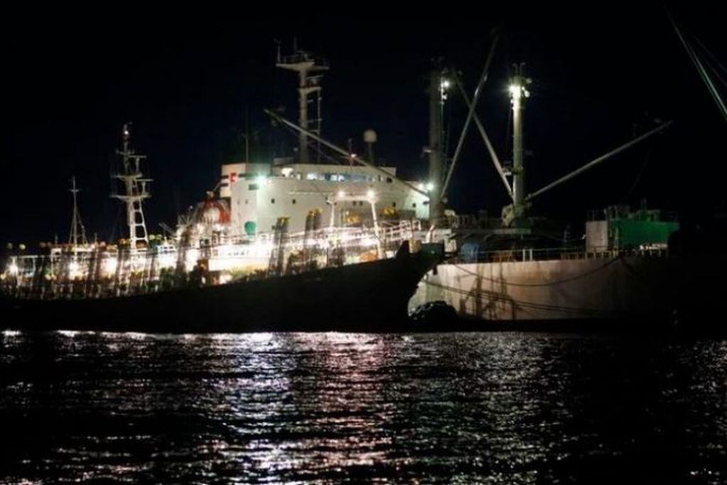 El Brexit preocupa a quienes viven de la pesca de calamar en las Islas Malvinas (Foto: REUTERS)