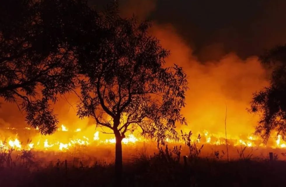 El fuego no da tregua en Corrientes, el norte es el más afectado.