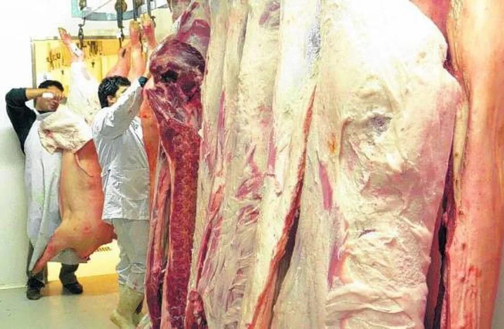 Carne de cerdo en Río Negro.