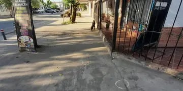 Homicidio en el barrio La Granada de Rosario