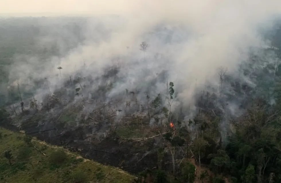 Incendios en Amazonia.