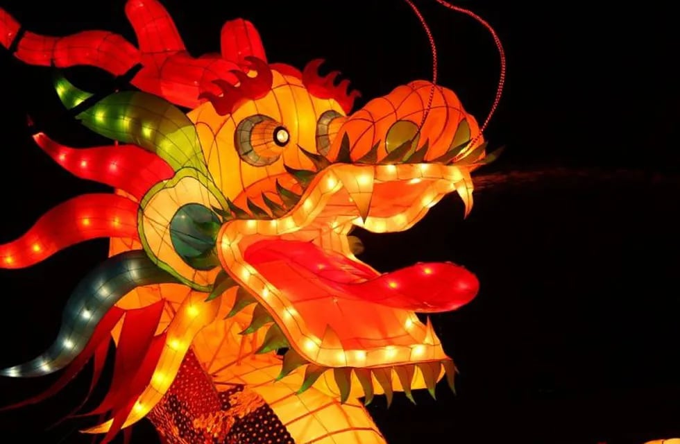 Se acerca el Año Nuevo Chino 2022: qué animal representará este periodo y  cuándo se celebra.
