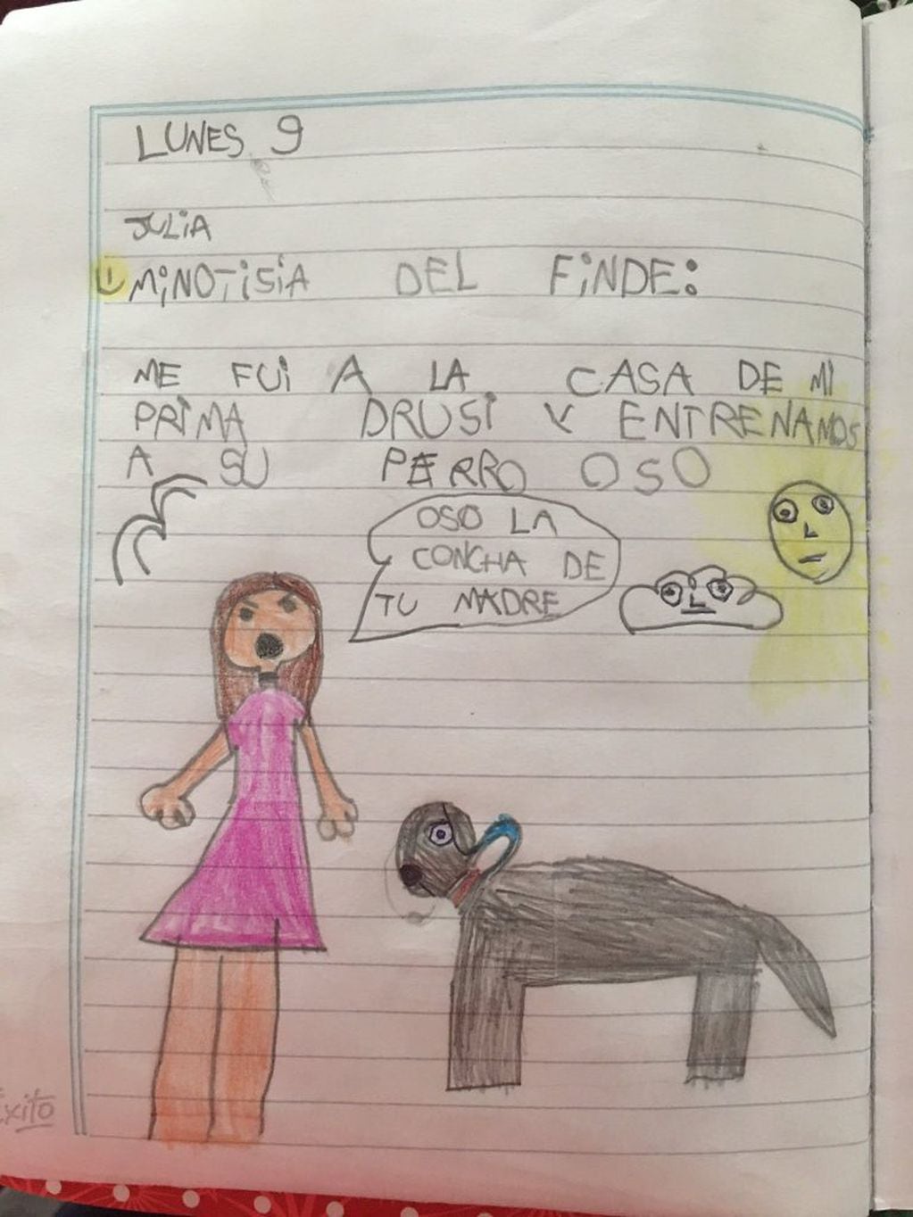 El dibujo que Julia realizó en la escuela para contar "la noticia del finde" (Foto: Captura Twitter)